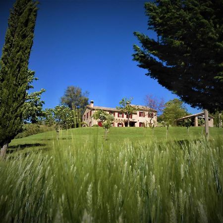 Bed and Breakfast Quelli Del Picchio Cupramontana Экстерьер фото