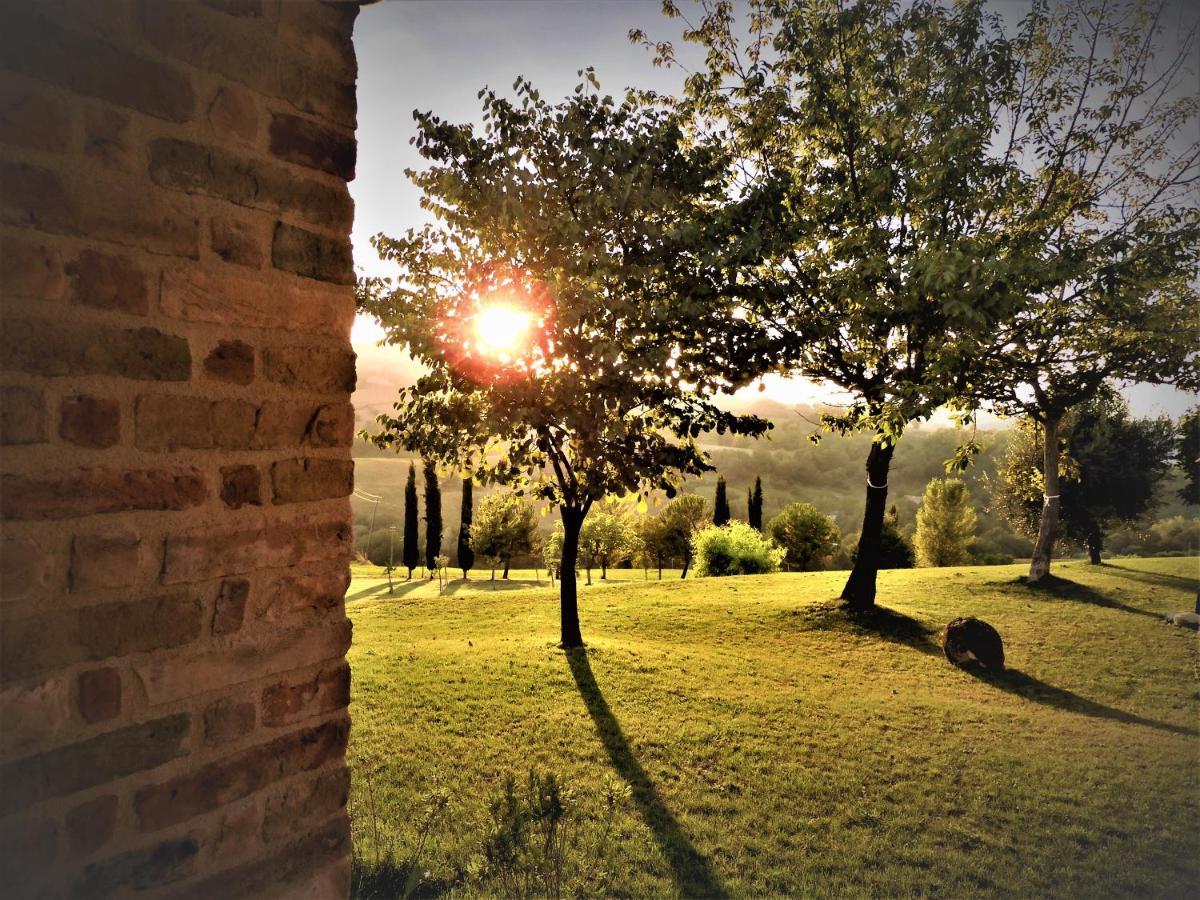 Bed and Breakfast Quelli Del Picchio Cupramontana Экстерьер фото