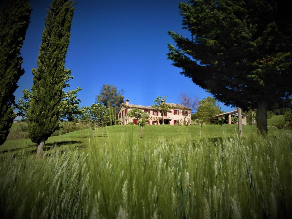 Bed and Breakfast Quelli Del Picchio Cupramontana Экстерьер фото